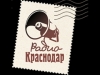На «Радио Краснодар» запустили программы о спорте, здоровье и бизнесе  